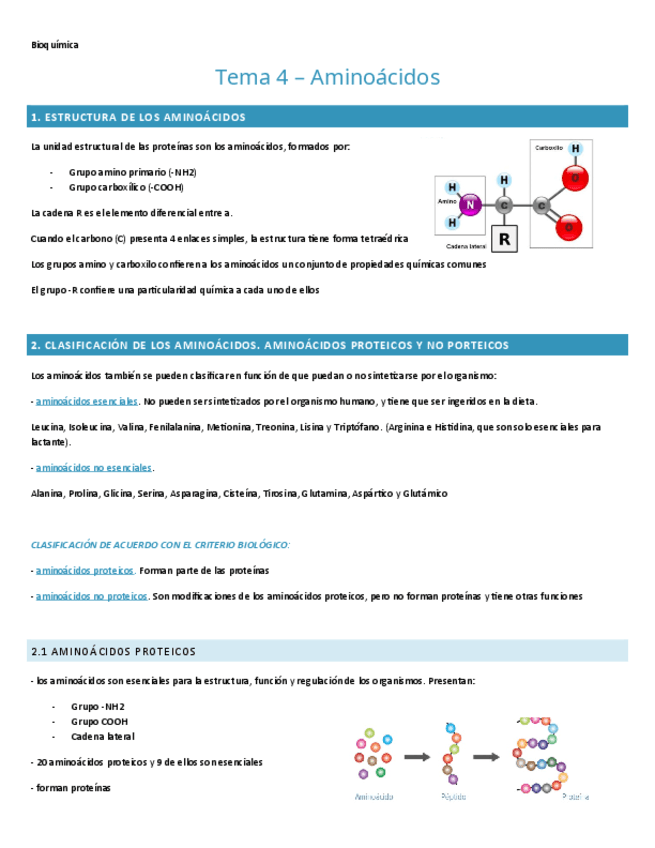 TEMA-4.-BIOQUIMICA.pdf