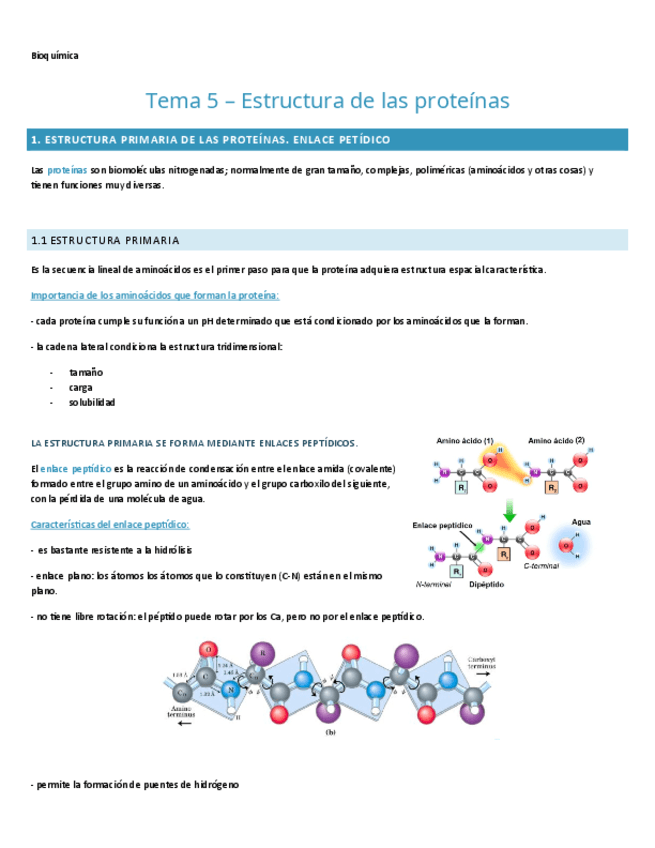 TEMA-5.-BIOQUIMICA.pdf