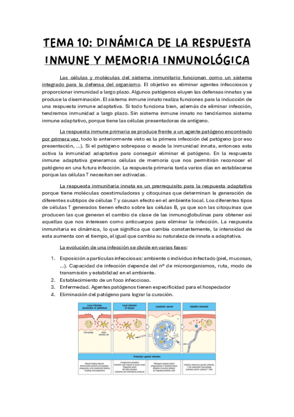 TEMA-10-INMUNO.pdf