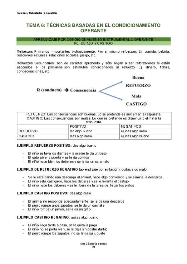 Tema-6.-Tecnicas-y-Habilidades-Terapeuticas.pdf