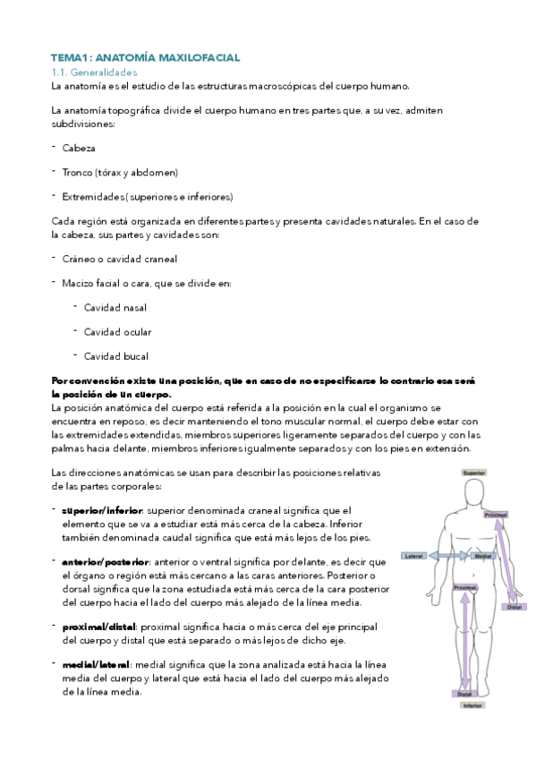 tema-1-anatomia-maxilofacial.pdf