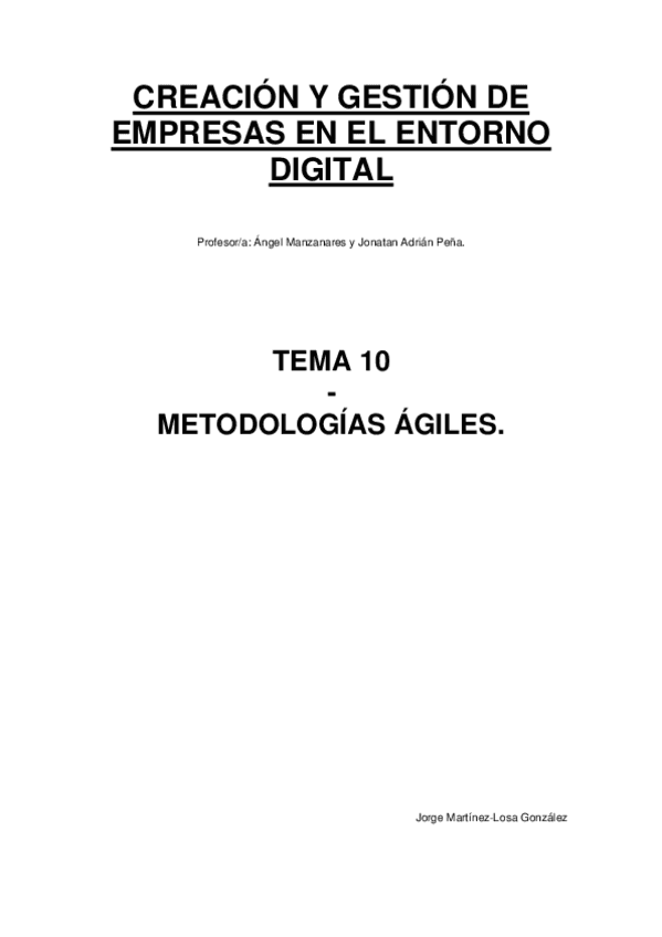 RESUMEN-TEMA-10.pdf