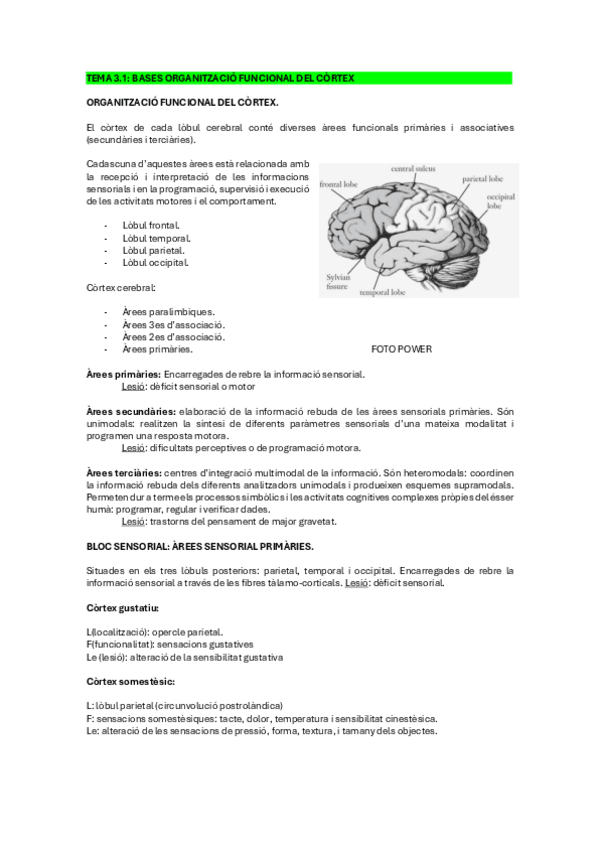 NEUROPSICO-TEMA-3.1..pdf