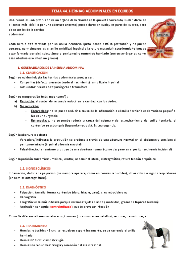 Digestivo-Caballos-T.44-T.47.pdf