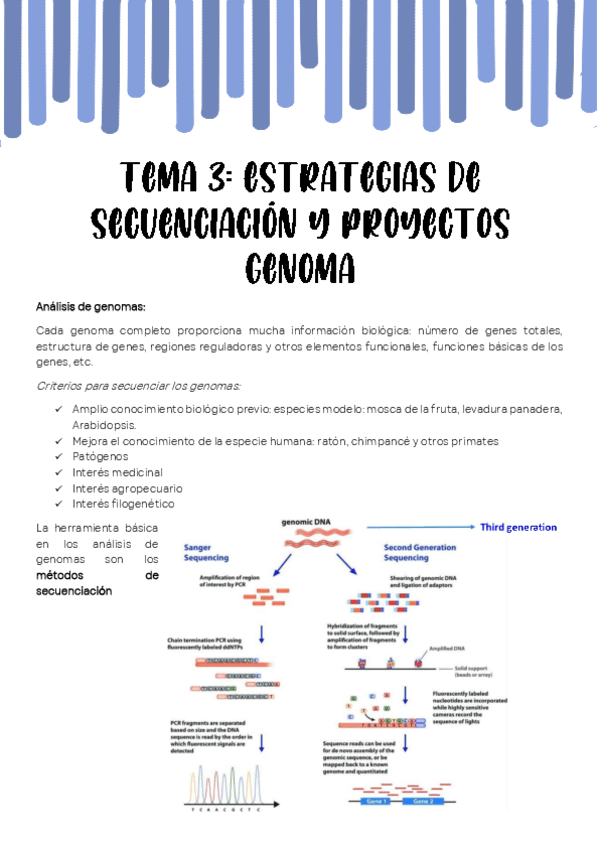 TEMA-3.-Proyectos-genoma.pdf