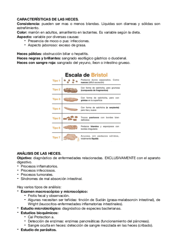 Tema-7-gestion.pdf