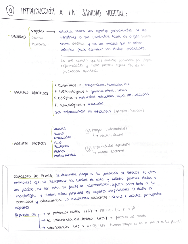 Importante-examen-patologia.pdf