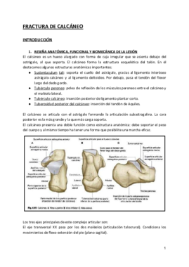 TRABAJO BERNABÉ - FRACTURA DE CALCÁNEO.pdf