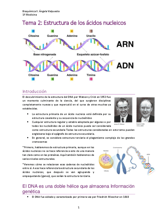 Tema-2.-Estructura-de-los-acidos-nucleicos.pdf