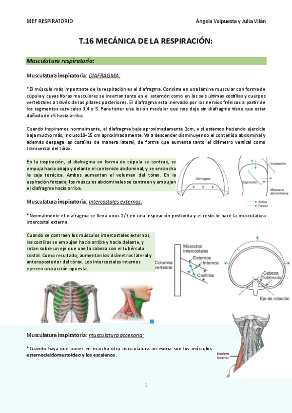 T.16-FISIO-RESPI-DEFINITIVO.pdf