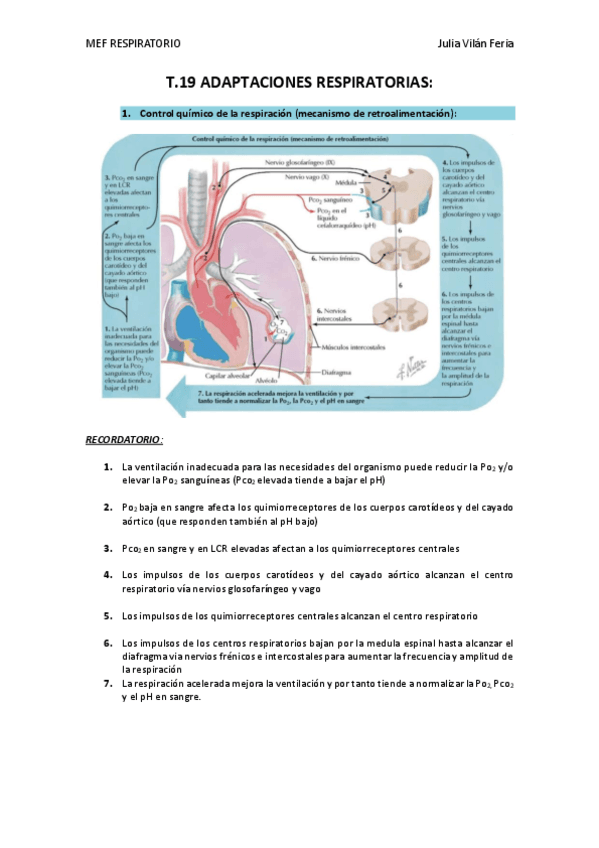 T.19-FISIO-RESPI.pdf