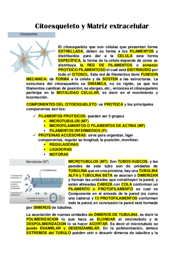 Citoesqueleto-y-Matriz-extracelular-1.pdf