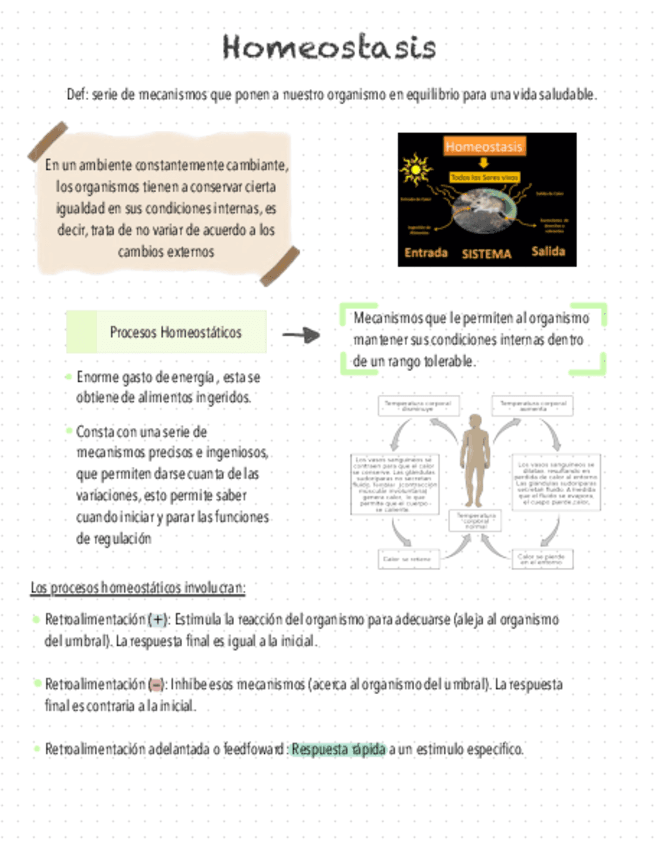 Resumen-Homeostasis-Y-Osmosis.pdf