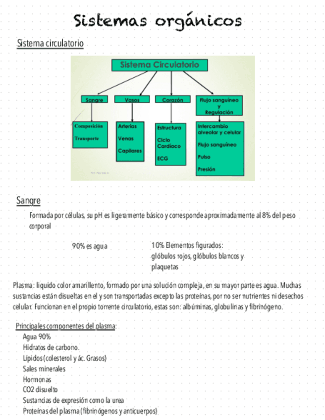 5-Sis.-Circulatorio.pdf