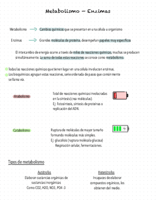 Metabolismo-Y-Enzimas.pdf