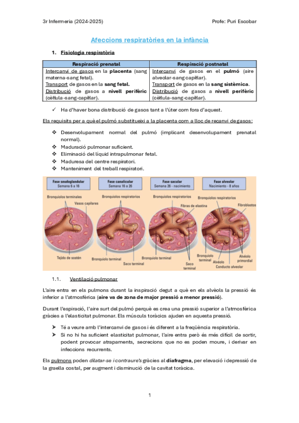 Afeccions-respiratories-en-la-infancia.pdf