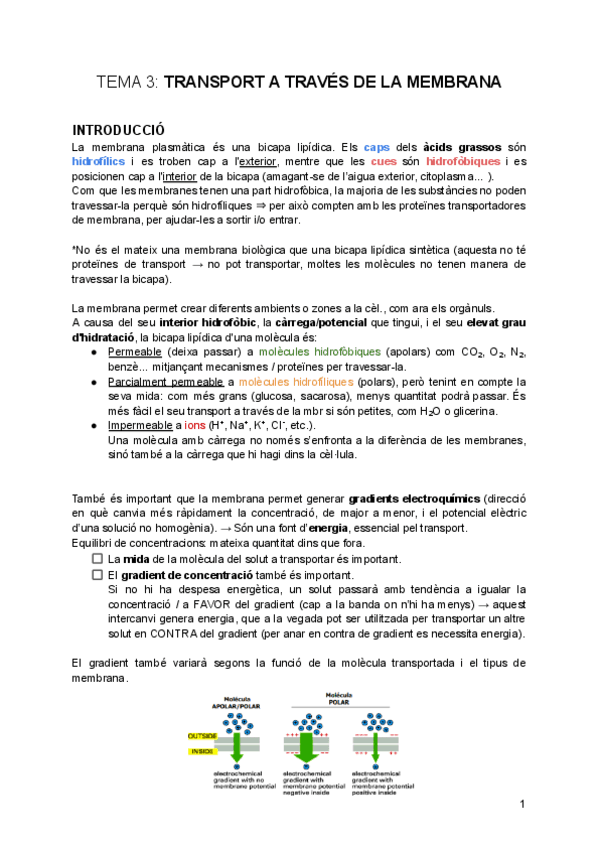 tema-3-Transport-a-traves-de-la-Membrana.pdf