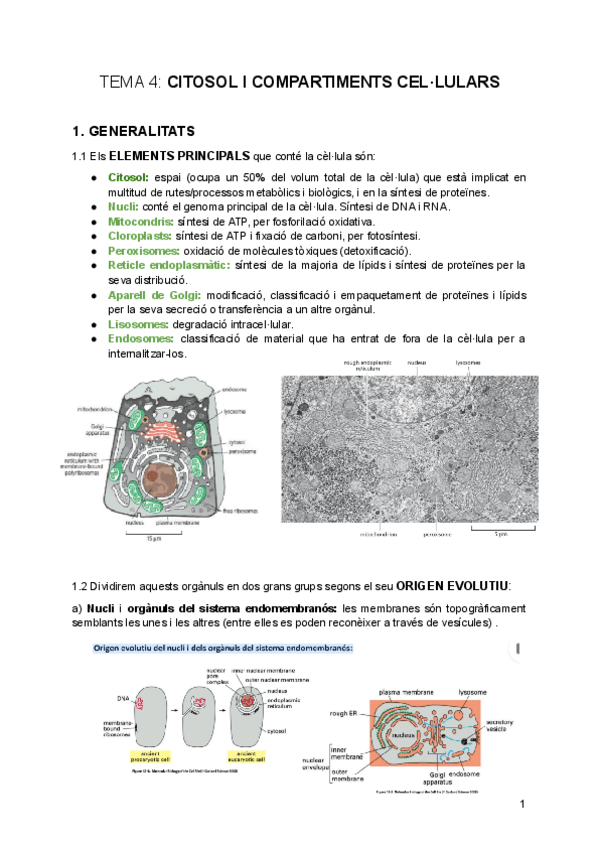tema-4-Citosol-i-compartiments-cellulars.pdf