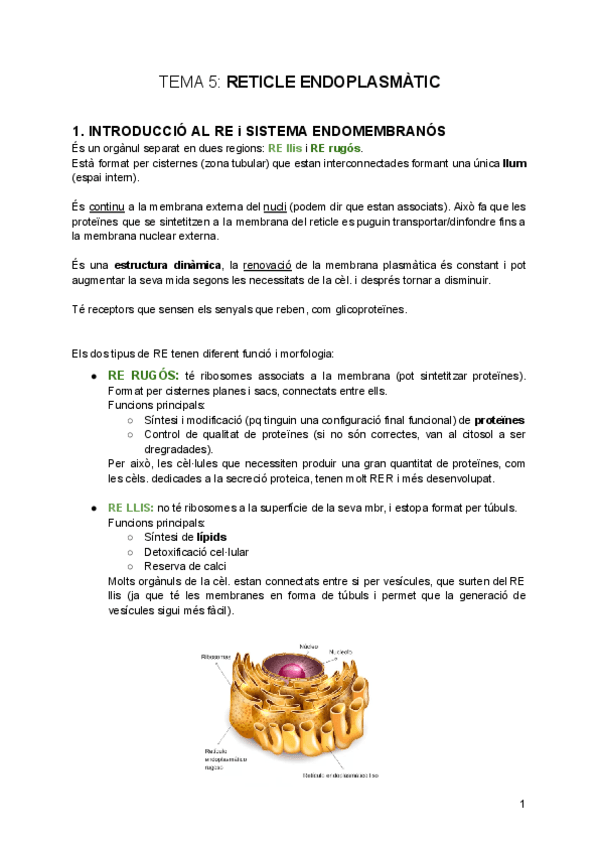 tema-5-Reticle-Endoplasmatic-i-Transport.pdf