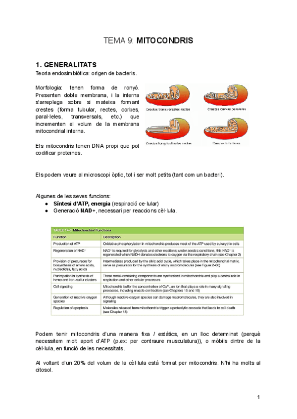 tema-9-Mitocondris.pdf
