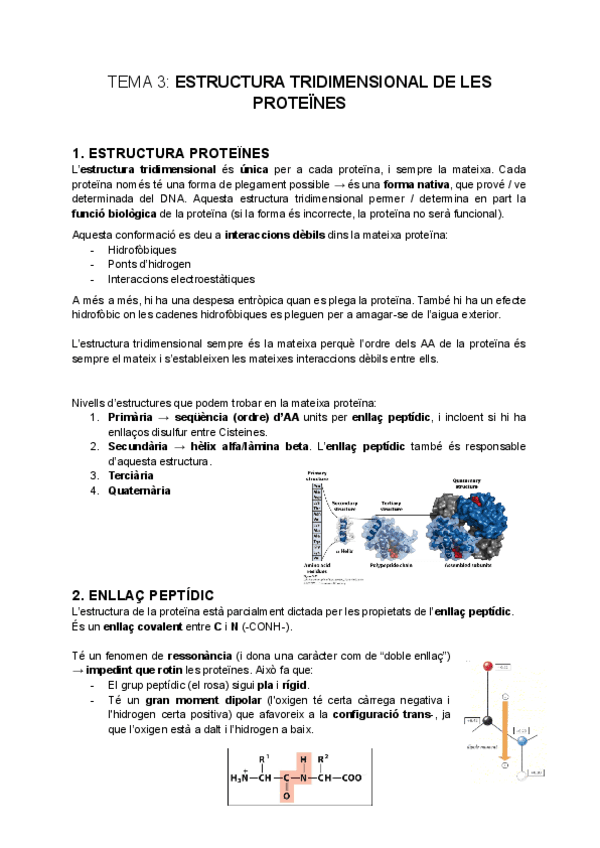 tema-3-Estructura-Tridimensional-Proteines.pdf