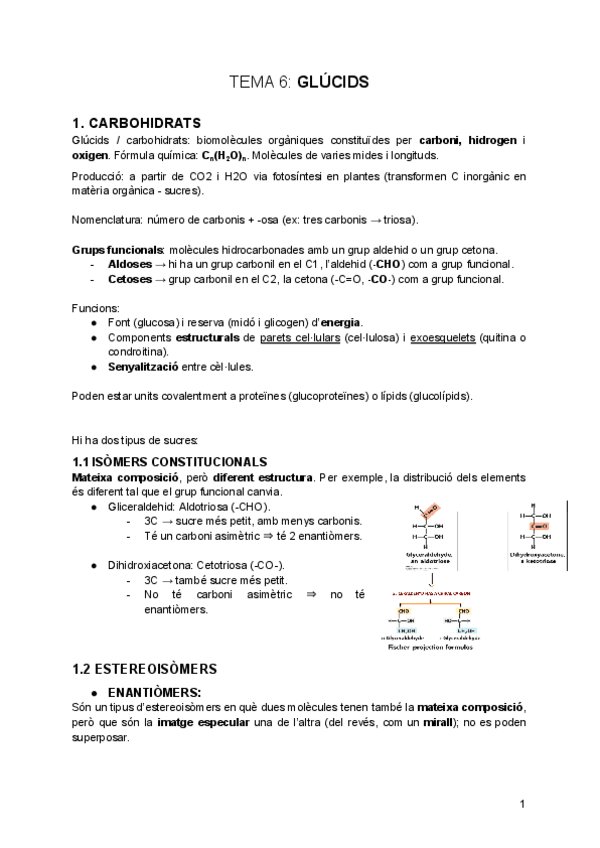 tema-6-Glucids.pdf