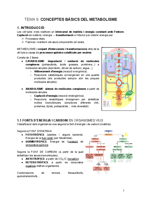tema-9-Conceptes-basics-del-Metabolisme.pdf