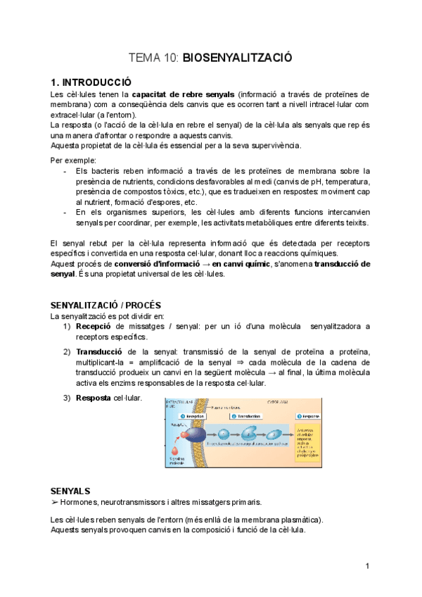 tema-10-Biosenyalitzacio.pdf