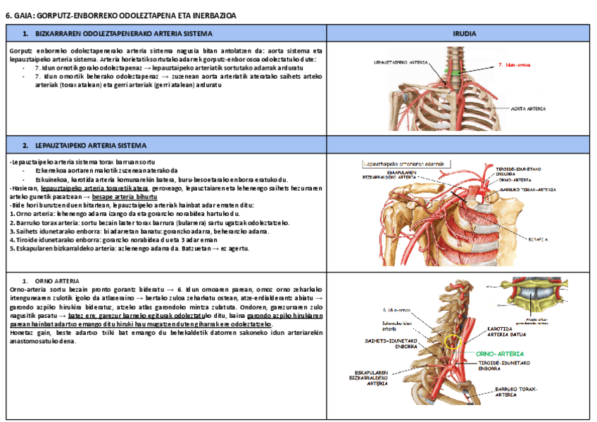 6.-GAIA-GORPUTZ-ENBORREKO-ODOLEZTAPENA-ETA-INERBAZIOA.pdf