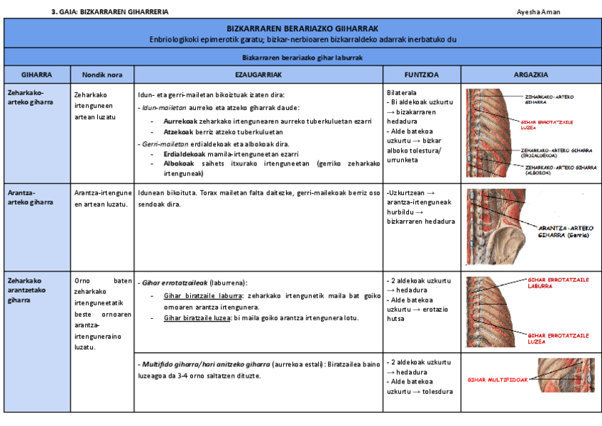 3.-GAIA-Bizkarraren-giharreria.pdf