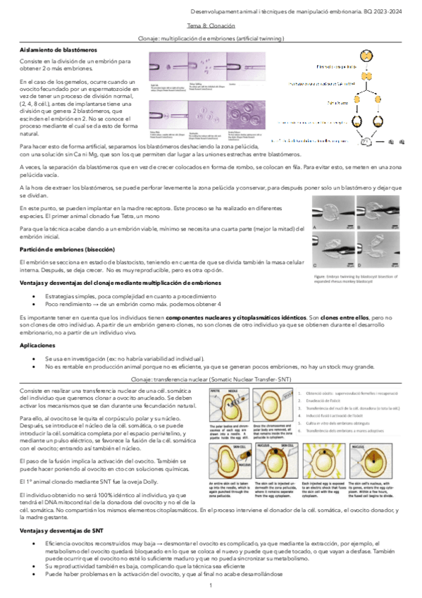 Tema-8.-Clonacion.pdf