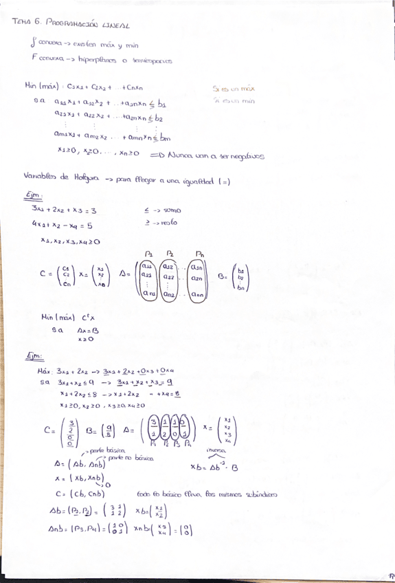 optimizacion-t.6--resumen.pdf