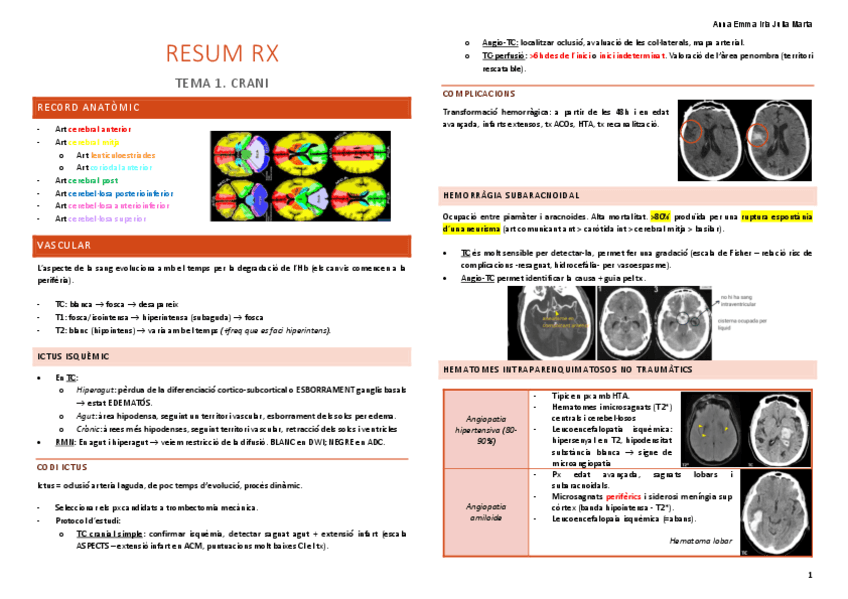 RESUM-RX.pdf