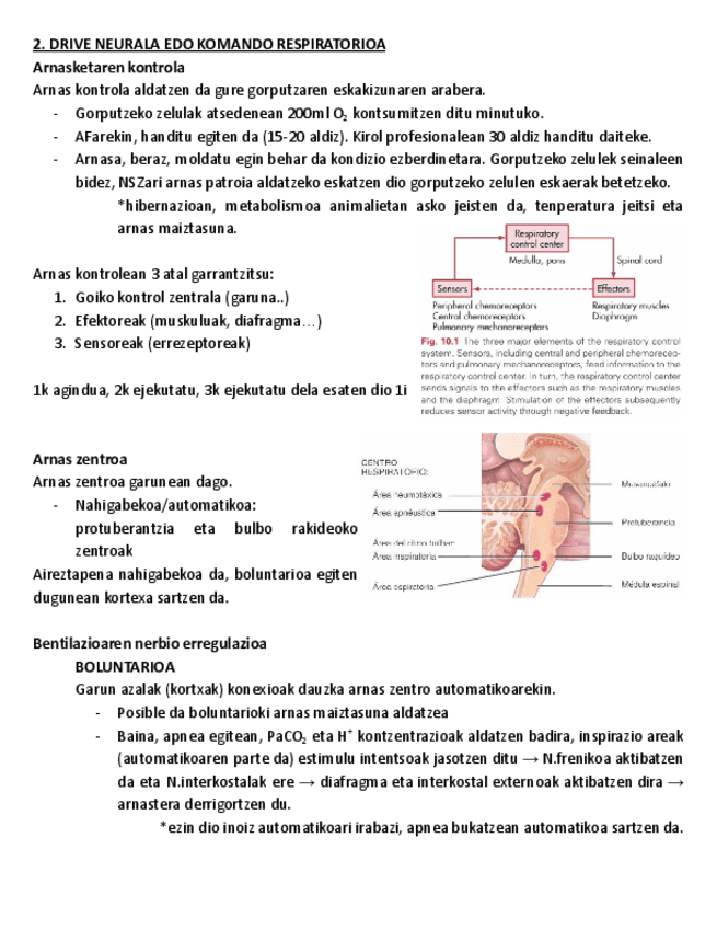 2.-DRIVE-NEURALA-ETA-KOMANDO-RESPIRATORIOA.pdf