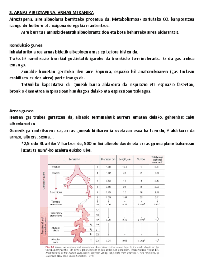3.-ARNAS-AIREZTAPENA-ARNAS-MEKANIKA.pdf