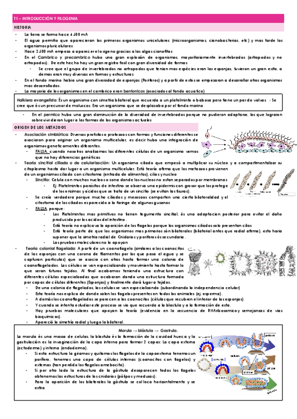 RESUM-PRIMER-PARCIAL.docx.pdf