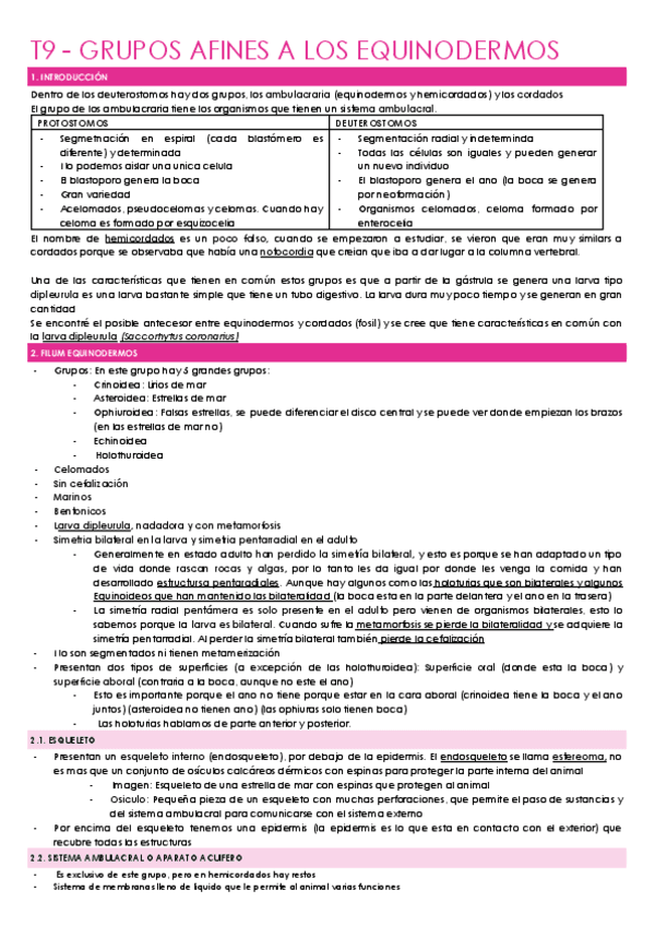 T9-GRUPOS-AFINES-A-LOS-EQUINODERMOS.docx.pdf