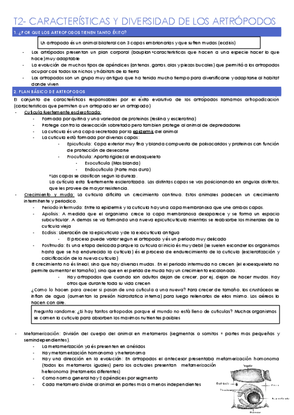 T2-CARACTERISTICAS-Y-DIVERSIDAD-DE-LOS-ARTROPODOS.docx.pdf