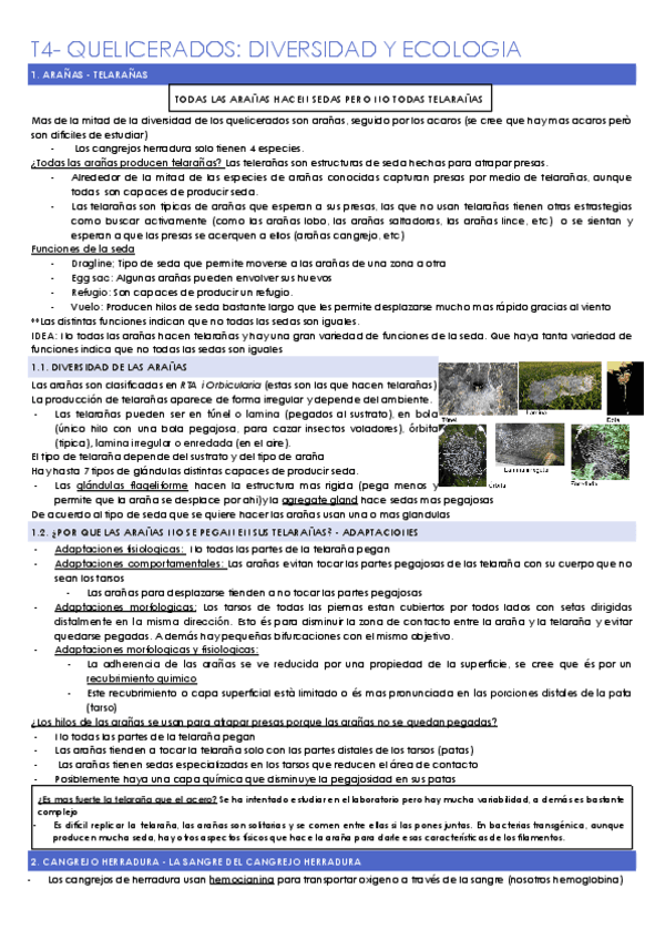 T4-QUELICERADOS-DIVERSIDAD-Y-ECOLOGIA.docx.pdf