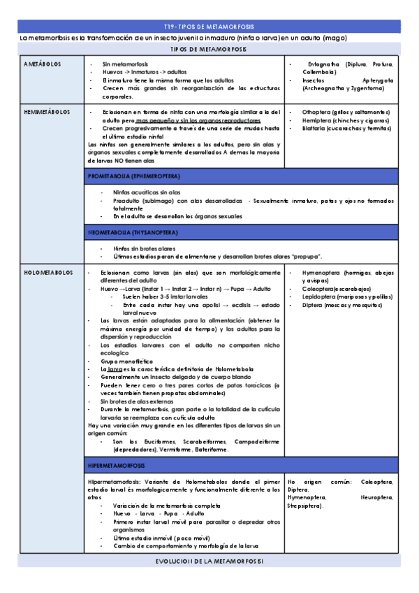 T19-TIPOS-DE-METAMORFOSIS-.docx.pdf