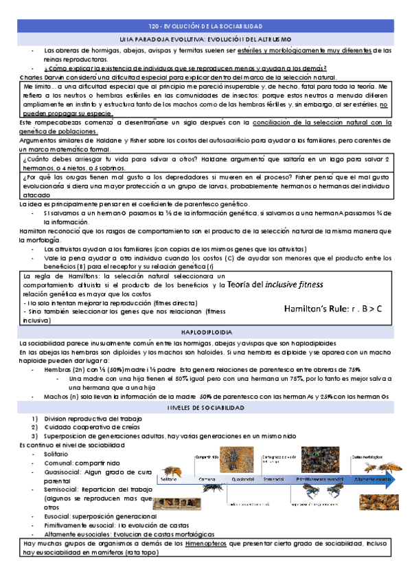 T20-EVOLUCION-DE-LA-SOCIABILIDAD.docx.pdf