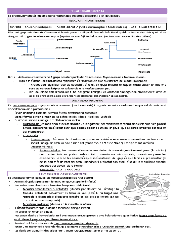 T6-ARCOSAUROMORPHA.docx.pdf