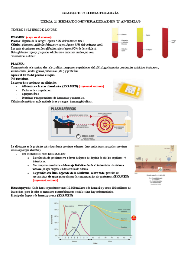 BLOQUE-7-HEMATOLOGIA.pdf