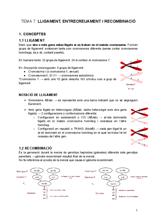 tema-7-Lligament-Entrecreuament-i-Recombinacio.pdf