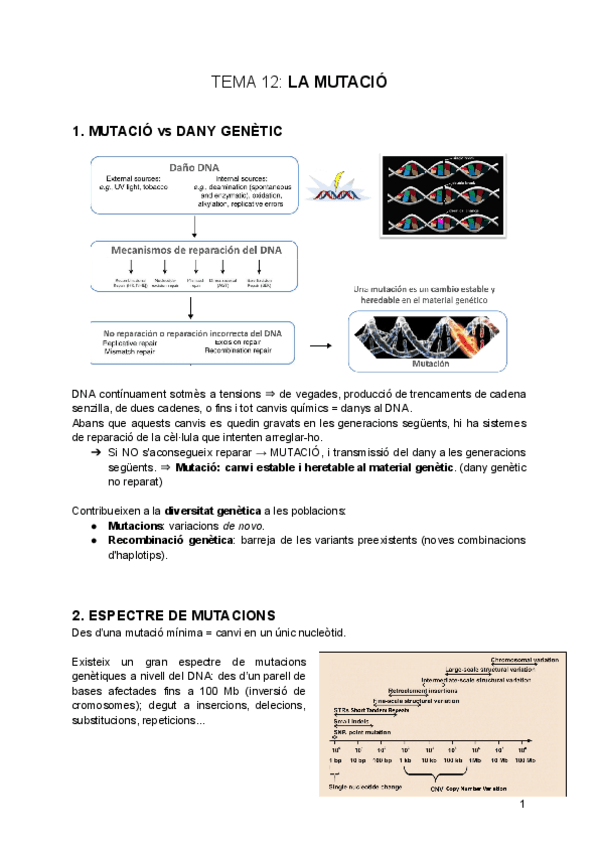 tema-12-La-Mutacio.pdf