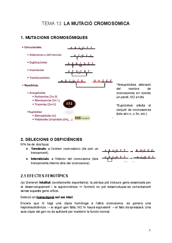tema-13-La-Mutacio-Cromosomica-Citogenetica.pdf