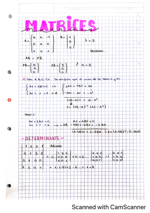 MATEMATICAS.pdf
