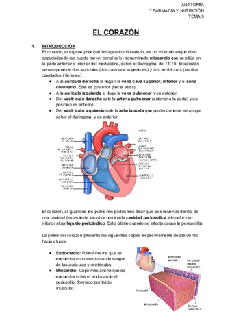 CORAZÓN.pdf