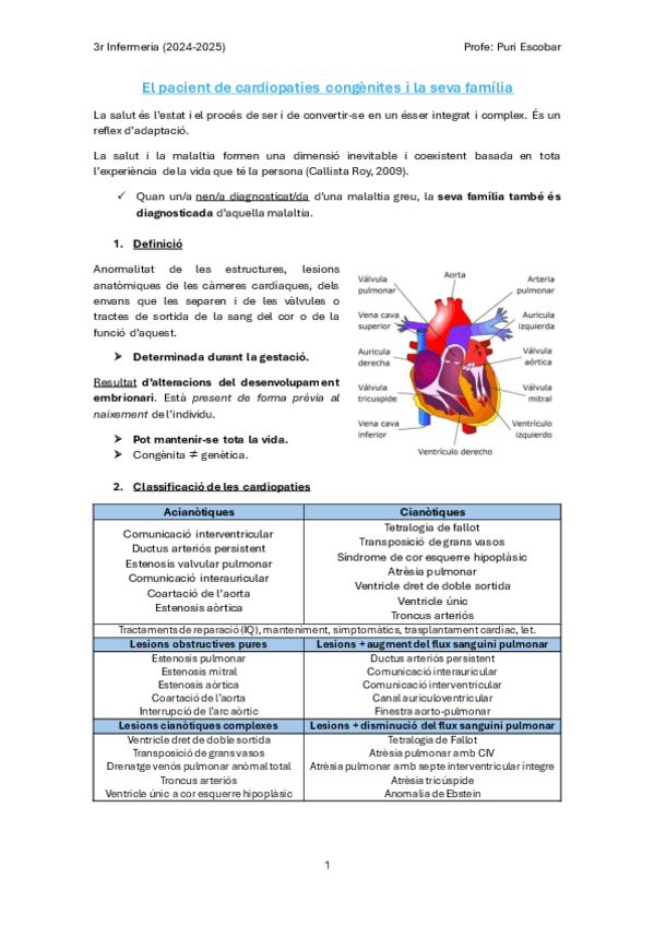 El-pacient-de-cardiopaties-congenites-i-la-seva-familia.pdf