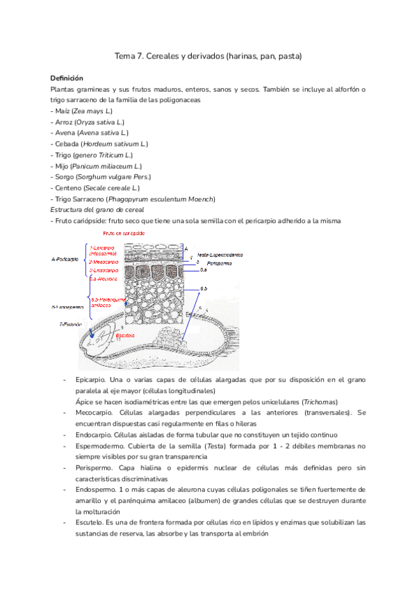 Tema-7.-Cereales-y-derivados.pdf